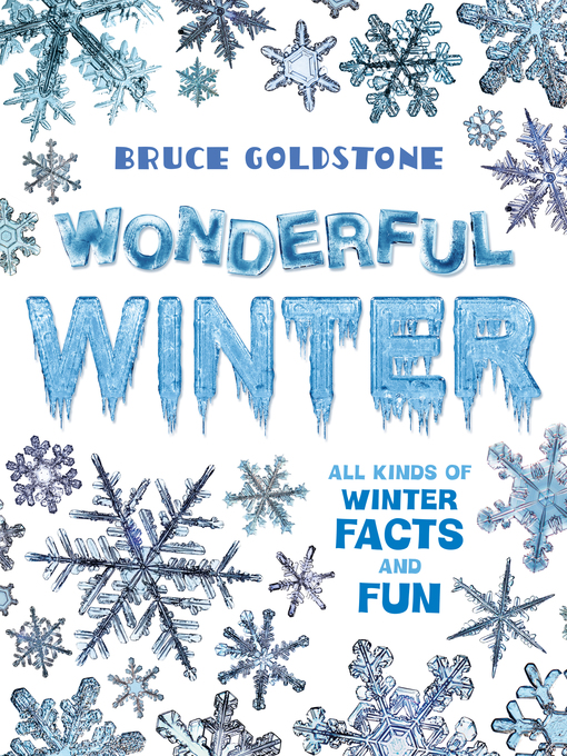 Title details for Wonderful Winter by Bruce Goldstone - Wait list